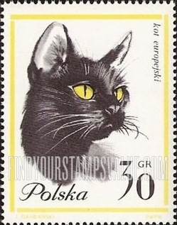 FindYourStampsValue: European Cat