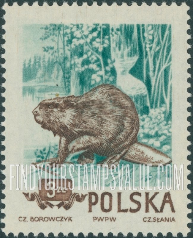 FindYourStampsValue: Beaver