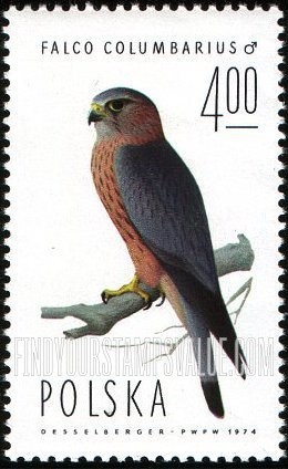 FindYourStampsValue: Merlin