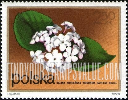 FindYourStampsValue: Flowering Shrubs: Viburnum
