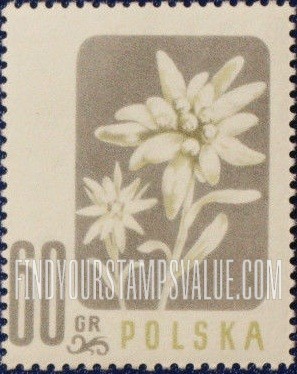 FindYourStampsValue: Edelweiss