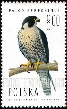 FindYourStampsValue: Peregrine