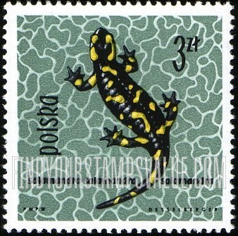 FindYourStampsValue: Fire salamander