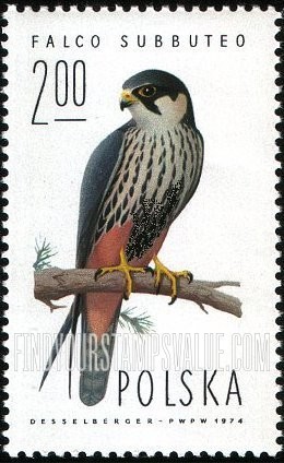 FindYourStampsValue: Hobby Falcon