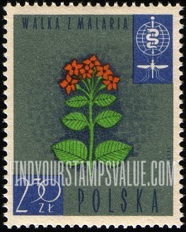 FindYourStampsValue: Cinchona flowers