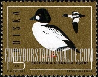FindYourStampsValue: Wild Ducks: Bucephala clangula