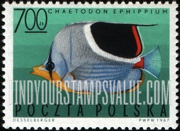 FindYourStampsValue: Tropical fish: Saddleback butterflyfish