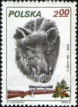 FindYourStampsValue: Boar