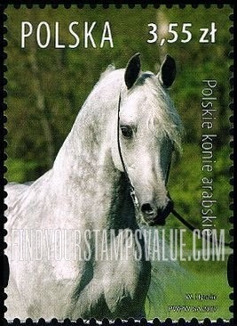 FindYourStampsValue: Arabian Horses: Color of horse White