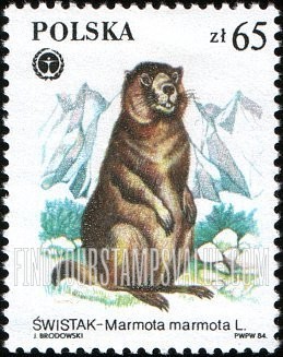 FindYourStampsValue: Protected Animals: Marmota marmota, vertical