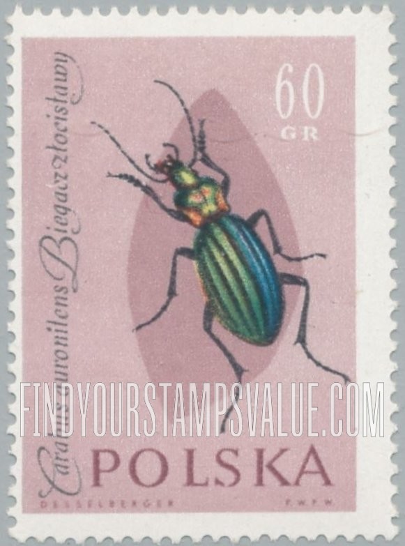 FindYourStampsValue: Insects: Gold runner