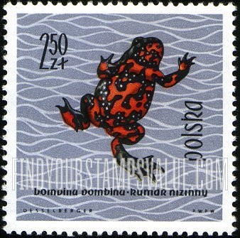 FindYourStampsValue: Firebellied toad