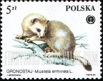 FindYourStampsValue: Protected Animals: Mustela erminea