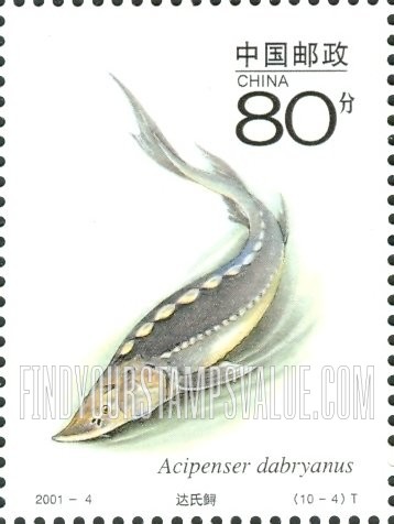 FindYourStampsValue: Wildlife: Acipenser dabryanus - 国家重点保护野生动物: 达氏鲟