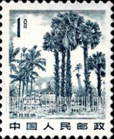 FindYourStampsValue: Xishuang Banna - 西双版纳