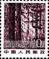 FindYourStampsValue: Immense Forest - 东北林海
