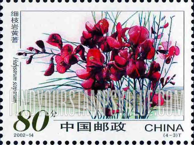 FindYourStampsValue: Desert Flowers: Hedysarum scoparium - 沙漠植物: 细枝岩黄蓍