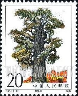 FindYourStampsValue: Cypress tree - 轩辕柏