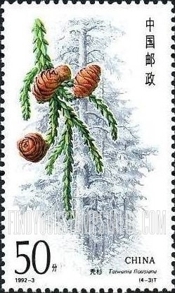 FindYourStampsValue: Conifers: Taiwania flousiana. - 杉树: 秃 杉