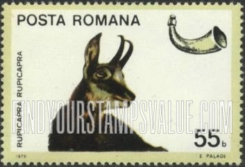FindYourStampsValue: Game: Chamois