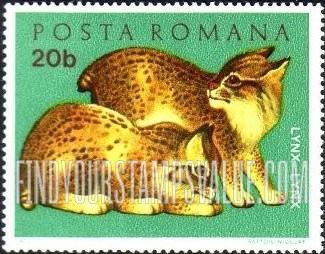 FindYourStampsValue: Young Animals: Lynx