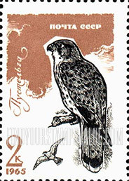 FindYourStampsValue: Russia: USSR, Birds - Kestrel