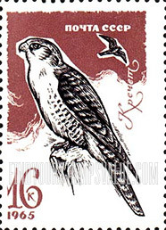 FindYourStampsValue: Russia: USSR, Birds - Gyrfalcon