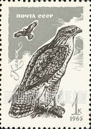 FindYourStampsValue: Russia: USSR, Birds - Buzzard