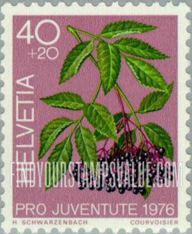 FindYourStampsValue: Semi-Postal, Medicinal Forest Plants: Black elder