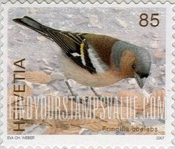 FindYourStampsValue: Federal Administration: Fringilla coelebs