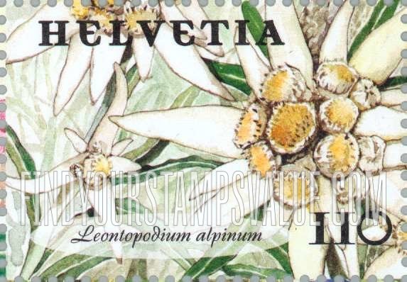 FindYourStampsValue: Federal Administration, Flowers: Leontopodium alpinum