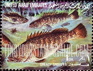 FindYourStampsValue: Fish: Greasy grouper - سمك: هامور