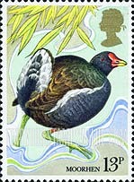 FindYourStampsValue: Great Britain (United Kingdom): British Birds - Moorhen