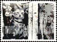 FindYourStampsValue: Great Britain (United Kingdom): Dogs and Cats - Cat in curtained Window, Self-Adhesive Booklet Stamp