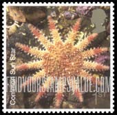 FindYourStampsValue: Great Britain (United Kingdom): Marine Life - Common Sun Star