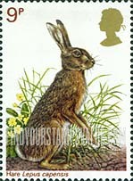 FindYourStampsValue: Great Britain (United Kingdom): Wildlife Protection - Brown Hare