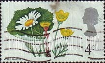 FindYourStampsValue: Great Britain (United Kingdom): British Flora - Ox-Eye Daisy, Coltsfoot and Buttercup