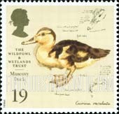 FindYourStampsValue: Great Britain (United Kingdom): Wildfowl and Wetlands Trust, 50th Anniversary - Muscovy Duck