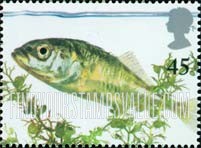 FindYourStampsValue: Great Britain (United Kingdom): Europa - Stickleback