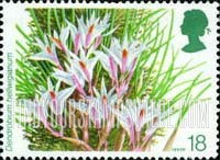 FindYourStampsValue: Great Britain (United Kingdom): Orchids, 14th World Orchid Conference, Glasgow - Dendrobium Hellwigianum