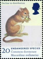 FindYourStampsValue: Great Britain (United Kingdom): Endangered Species - Common Dormouse