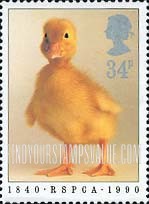 FindYourStampsValue: Great Britain (United Kingdom): Royal Society for the Prevention of Cruelty to Animals, 150th Anniversary - Duckling