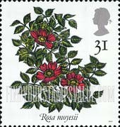 FindYourStampsValue: Great Britain (United Kingdom): Roses - Rosa Moyesii