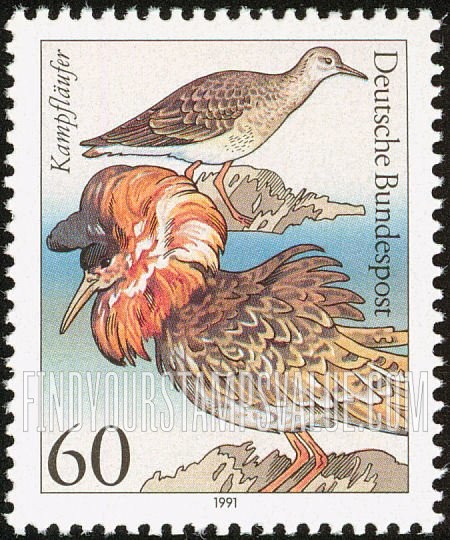 FindYourStampsValue: Sea Birds: Kampflaufer, Philomachus pugnax