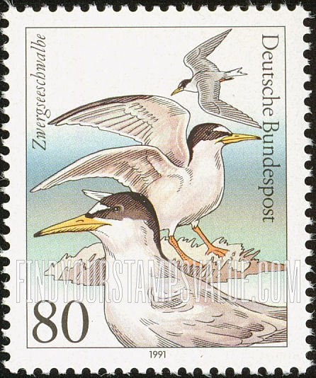 FindYourStampsValue: Sea Birds: Zwergseeschwalbe, Sterna albifrons