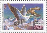 FindYourStampsValue: Russia: Russian Federation, Ducks - Somateria Mollissima
