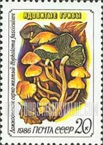 FindYourStampsValue: Russia: USSR, Toadstools - Hypholoma Fasciculare