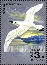 FindYourStampsValue: Russia: USSR, Antarctic Fauna - Whitewinged Petrel