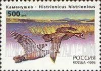 FindYourStampsValue: Russia: Russian Federation, Ducks - Histrionicus Histrionicus