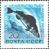 FindYourStampsValue: Russia: USSR, Fauna - Pikeperch